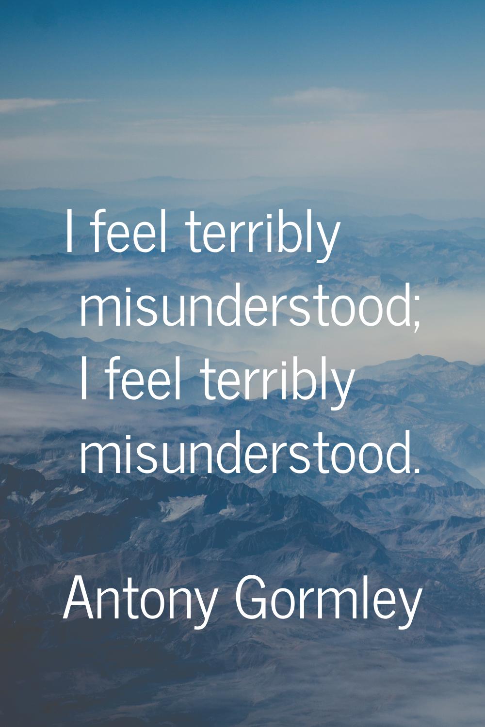I feel terribly misunderstood; I feel terribly misunderstood.