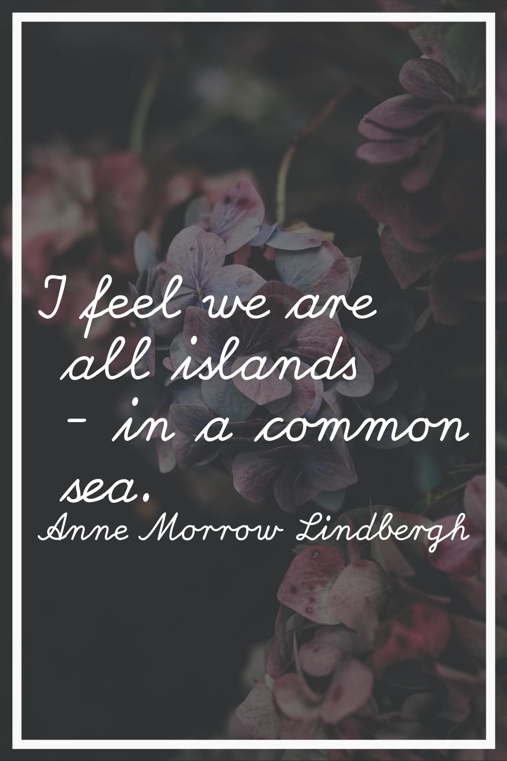 I feel we are all islands - in a common sea.