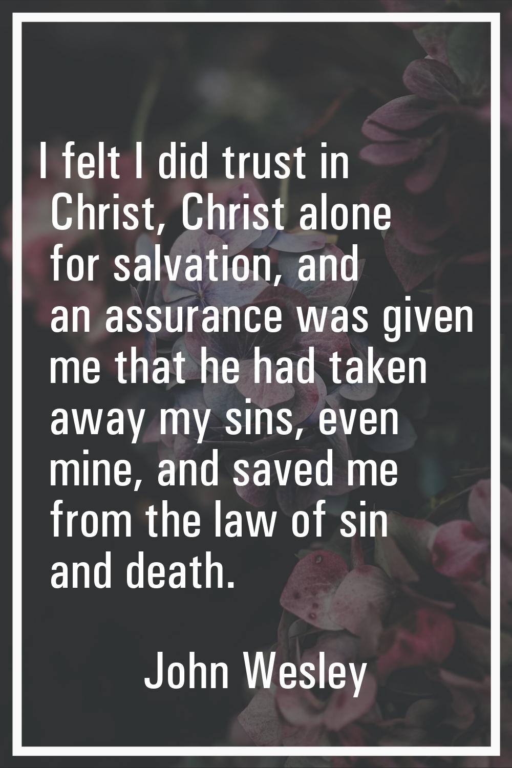 I felt I did trust in Christ, Christ alone for salvation, and an assurance was given me that he had