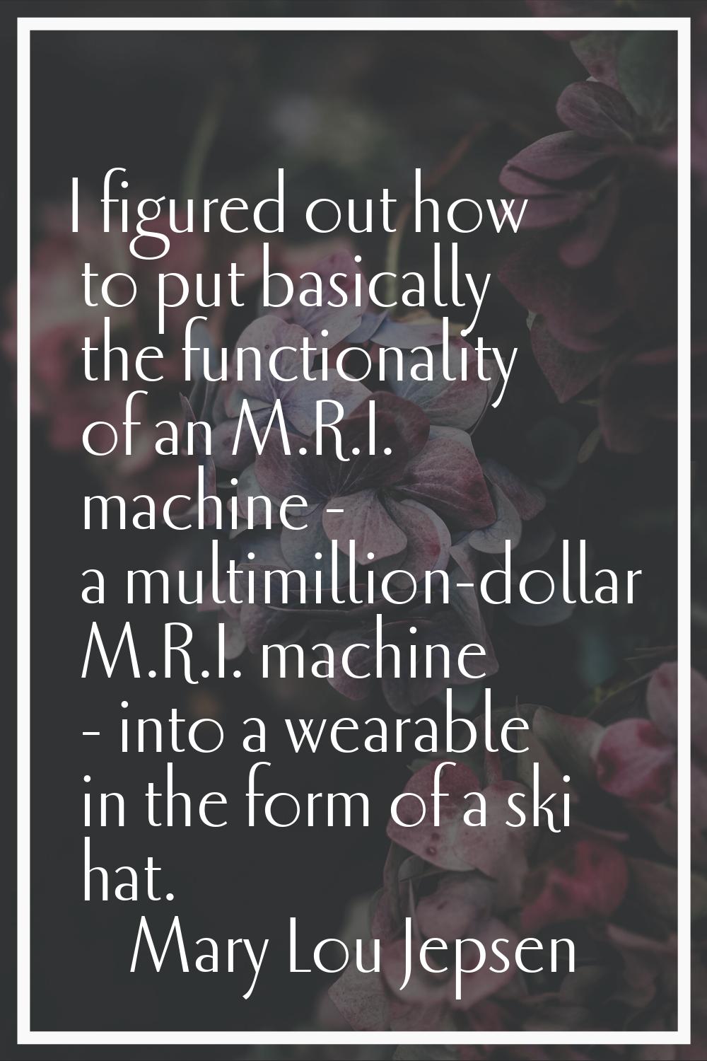 I figured out how to put basically the functionality of an M.R.I. machine - a multimillion-dollar M