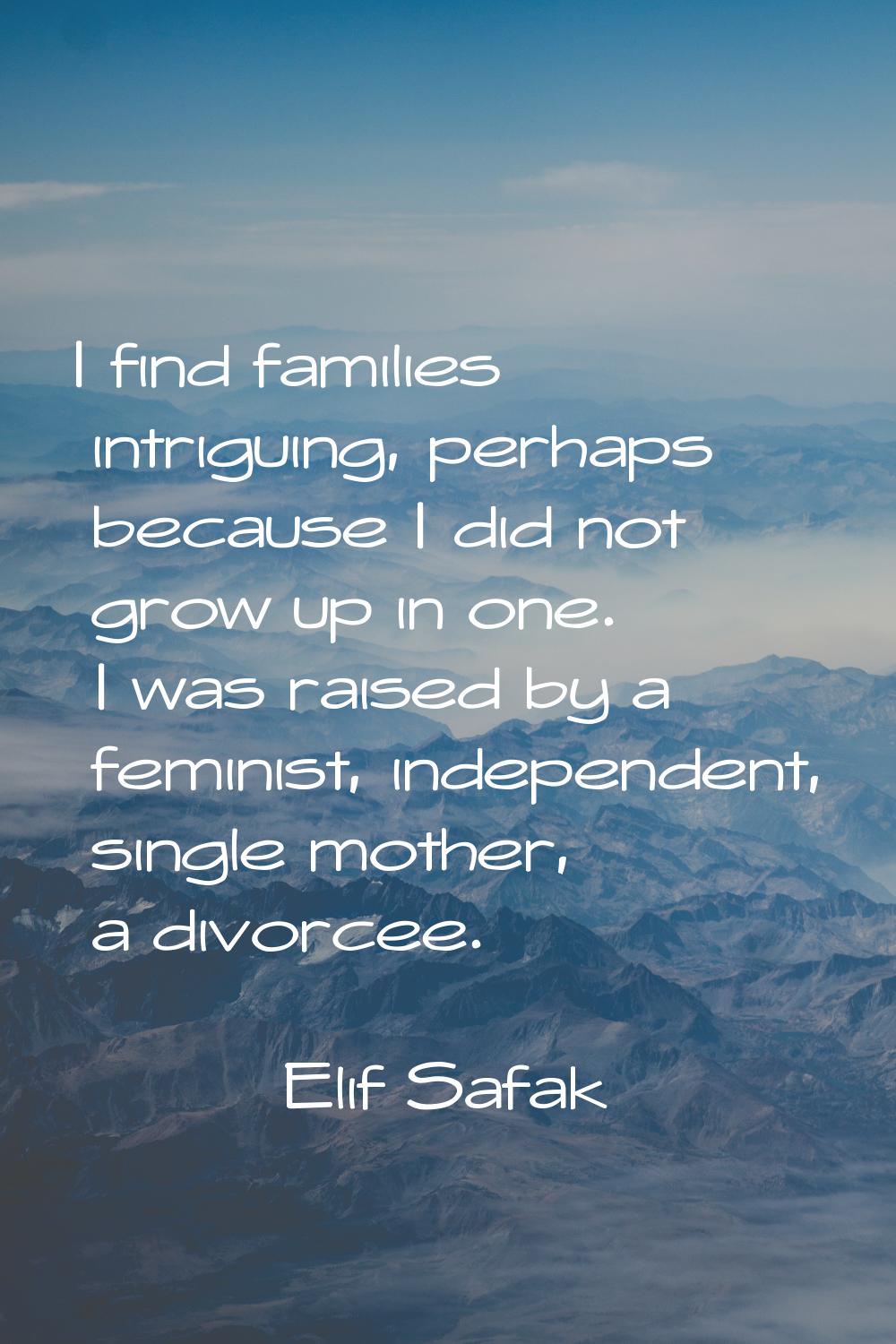 I find families intriguing, perhaps because I did not grow up in one. I was raised by a feminist, i