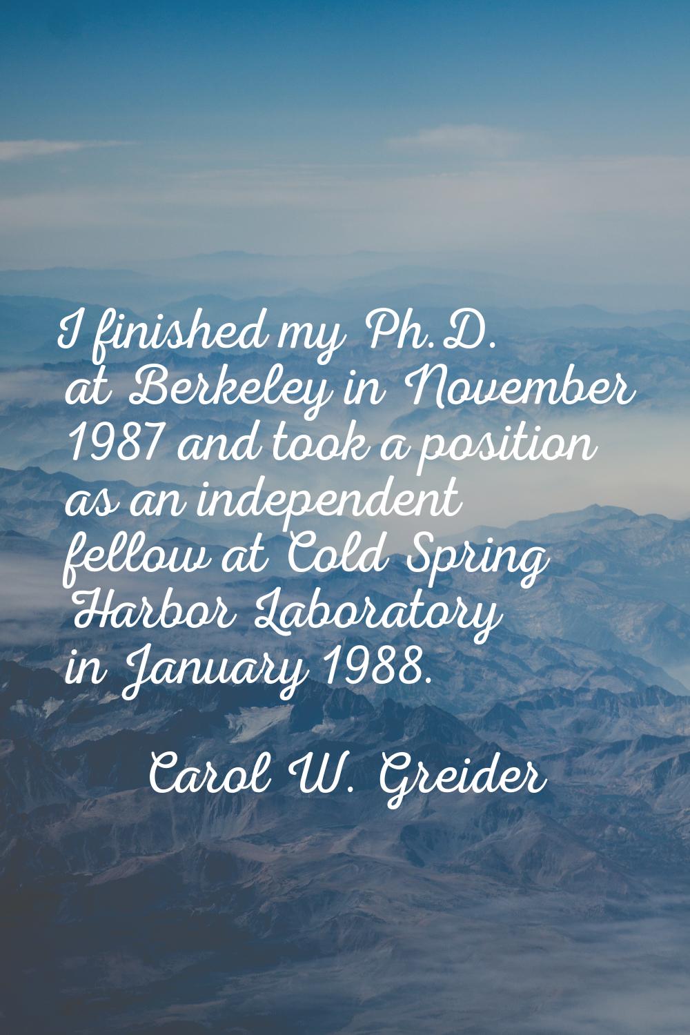 I finished my Ph.D. at Berkeley in November 1987 and took a position as an independent fellow at Co