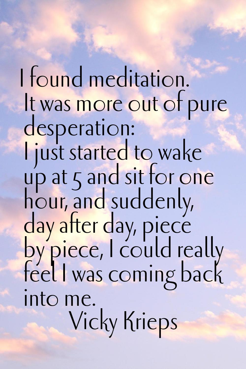 I found meditation. It was more out of pure desperation: I just started to wake up at 5 and sit for