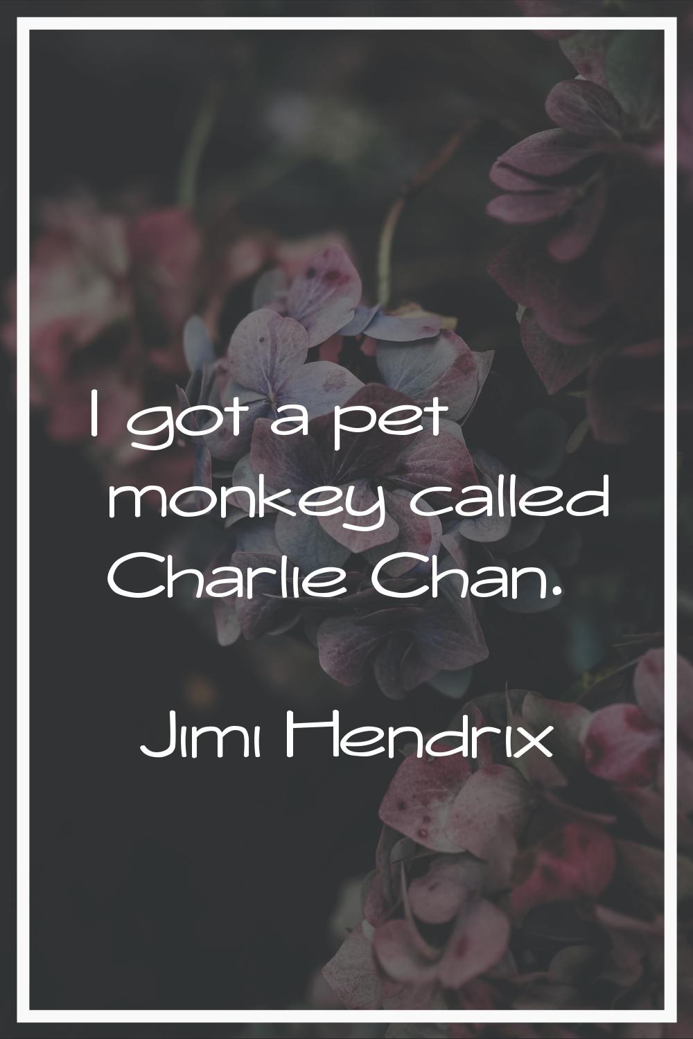 I got a pet monkey called Charlie Chan.