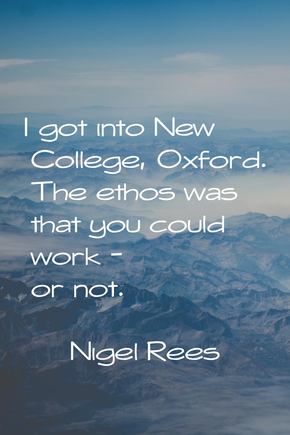 I got into New College, Oxford. The ethos was that you could work - or not.