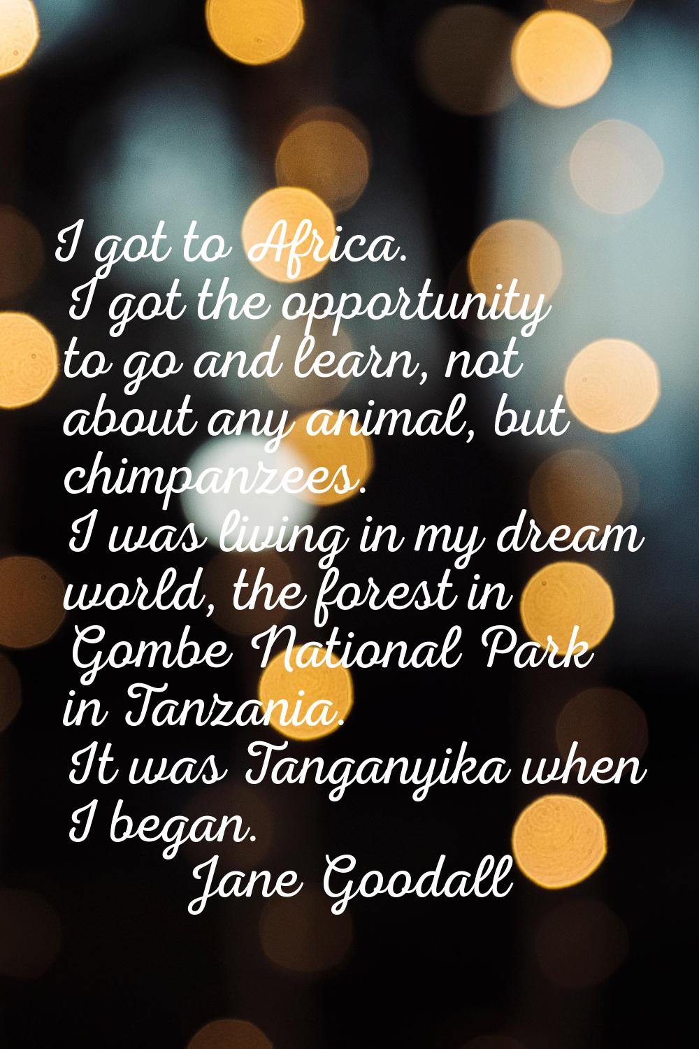 I got to Africa. I got the opportunity to go and learn, not about any animal, but chimpanzees. I wa
