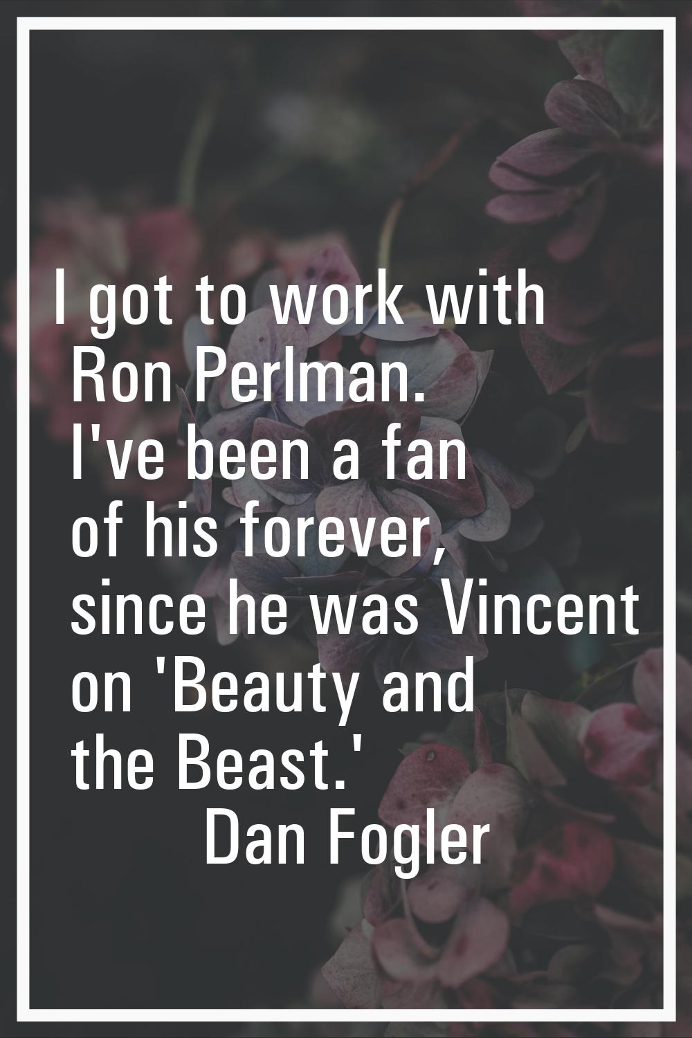 I got to work with Ron Perlman. I've been a fan of his forever, since he was Vincent on 'Beauty and