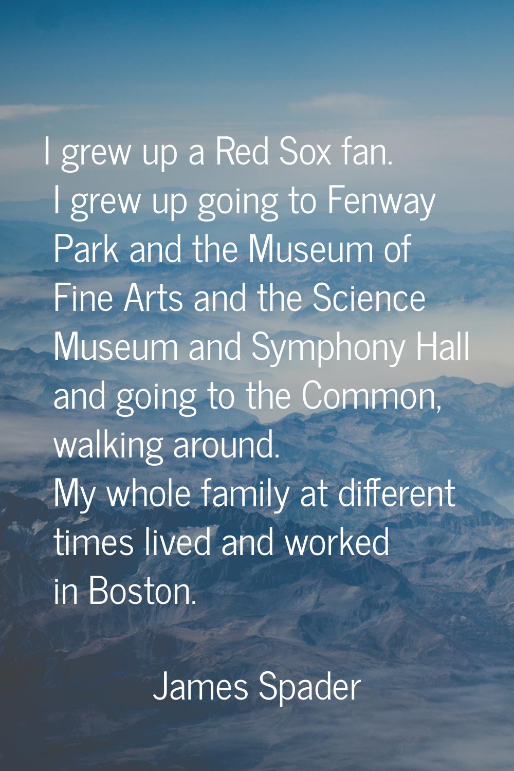 I grew up a Red Sox fan. I grew up going to Fenway Park and the Museum of Fine Arts and the Science