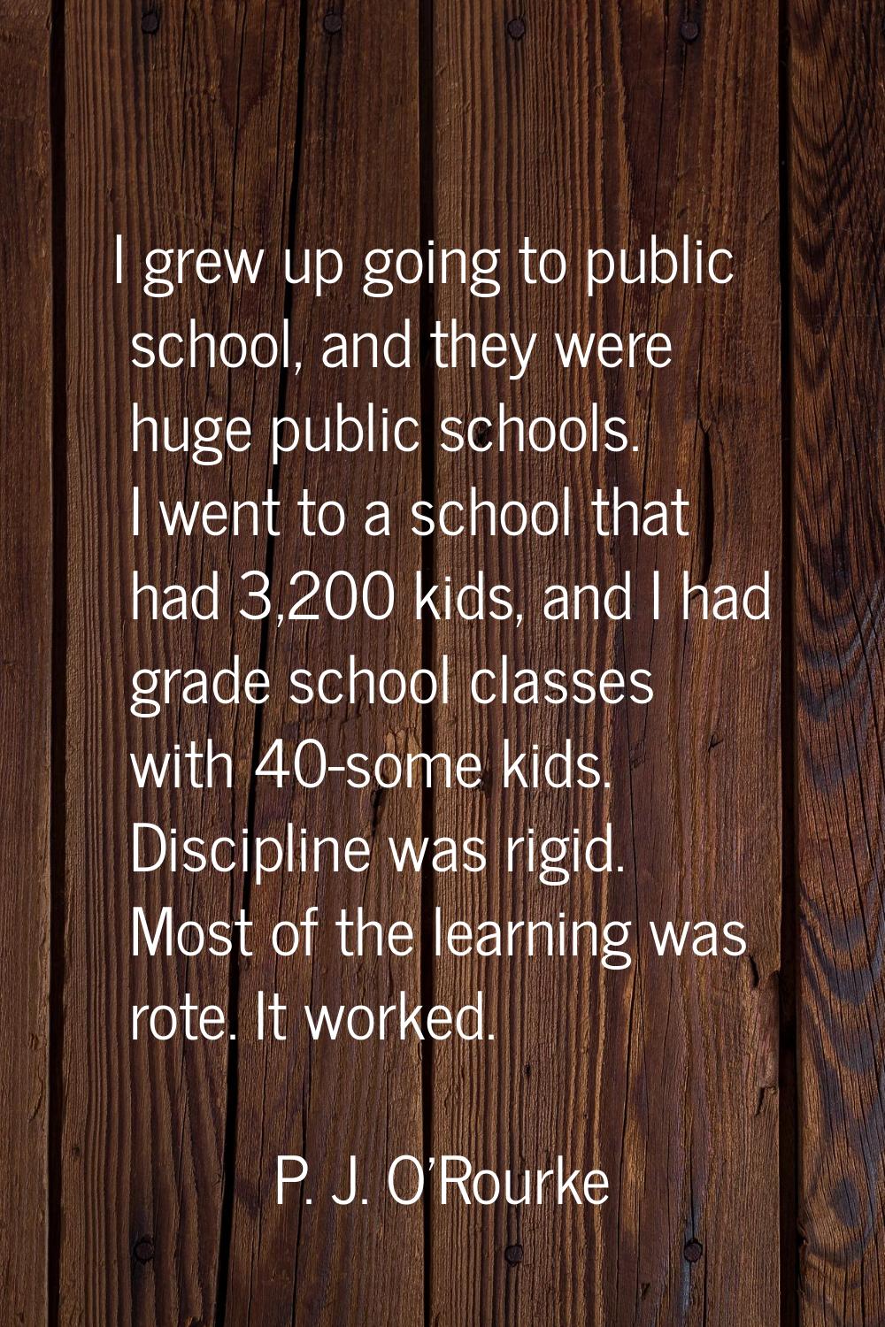 I grew up going to public school, and they were huge public schools. I went to a school that had 3,