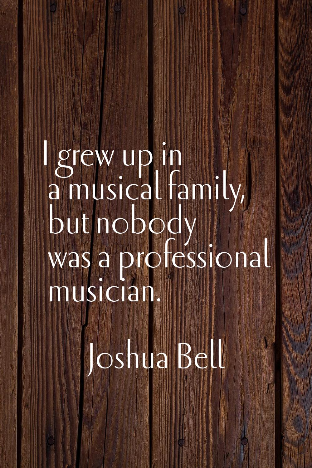 I grew up in a musical family, but nobody was a professional musician.