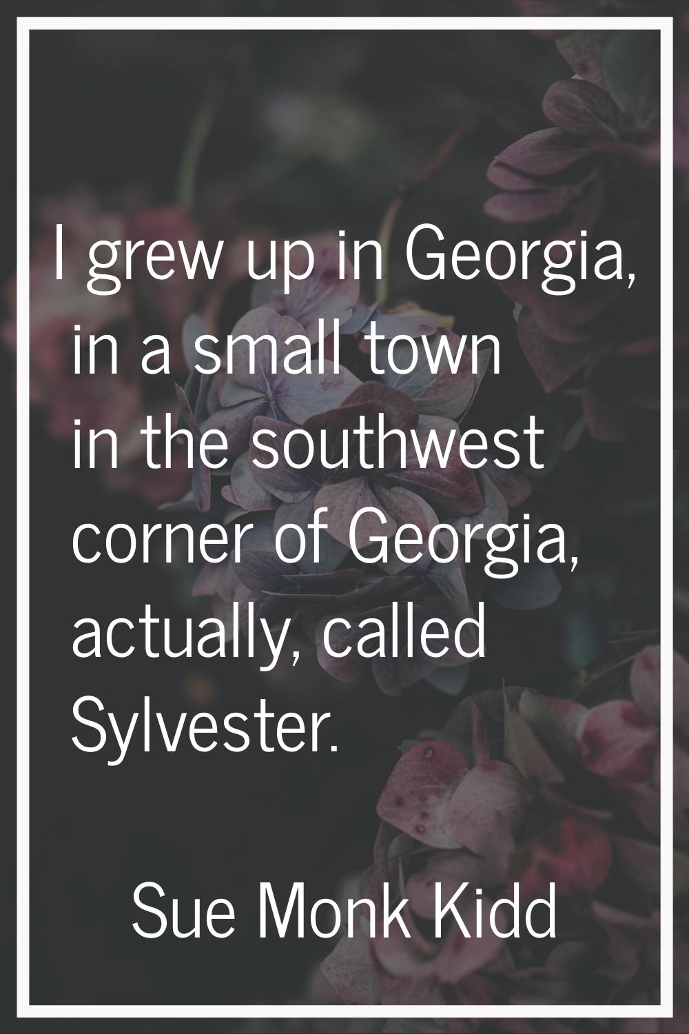 I grew up in Georgia, in a small town in the southwest corner of Georgia, actually, called Sylveste