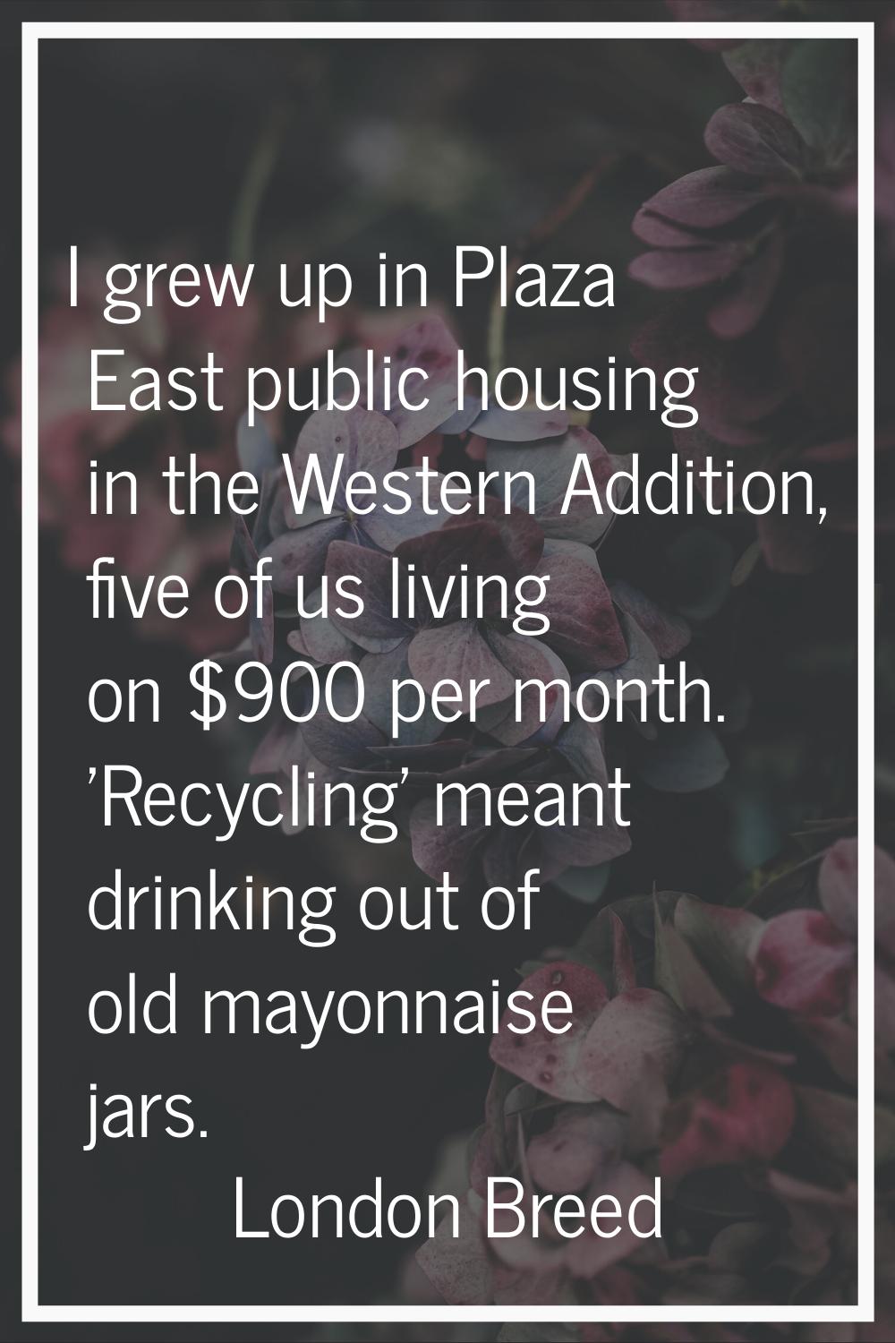 I grew up in Plaza East public housing in the Western Addition, five of us living on $900 per month