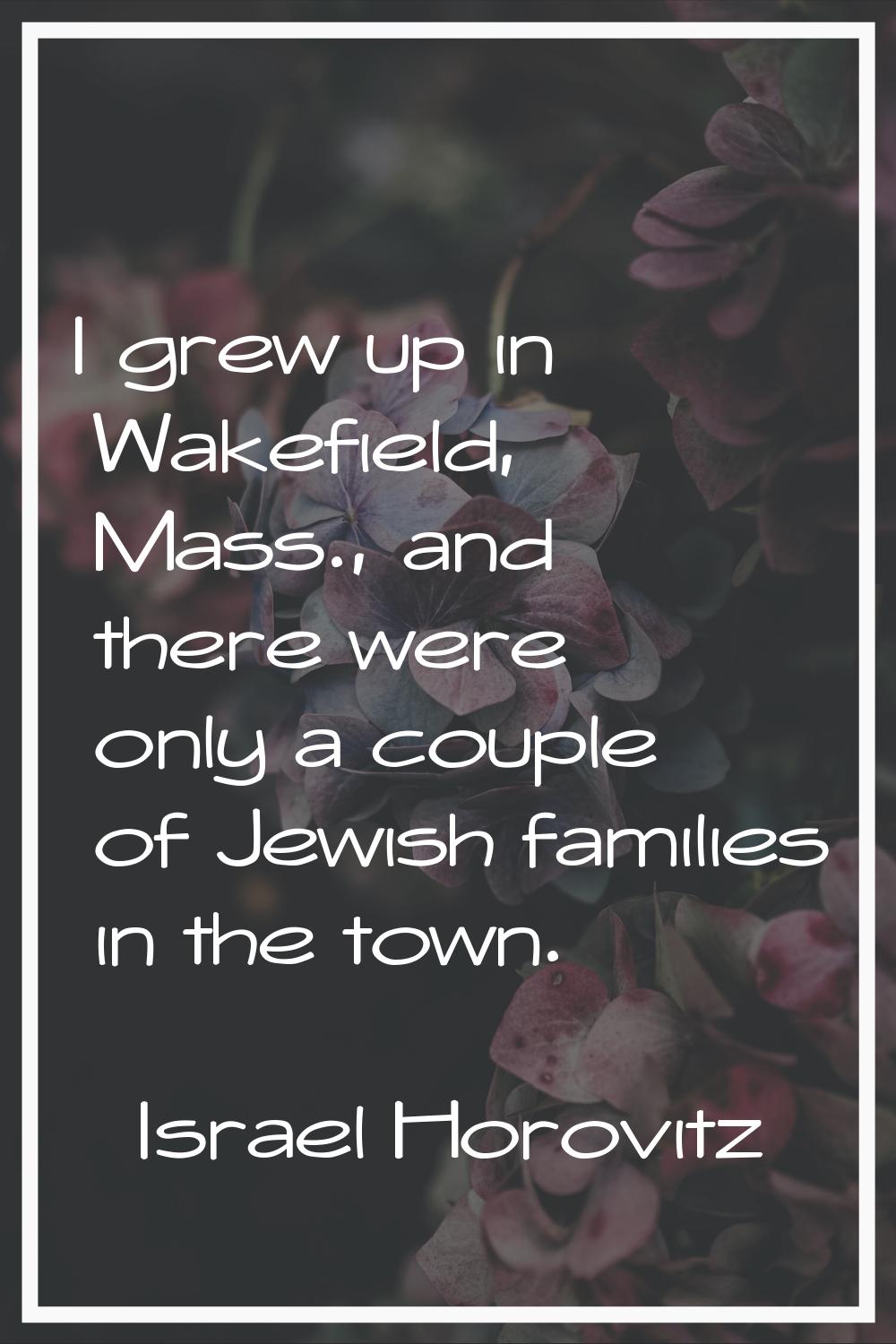 I grew up in Wakefield, Mass., and there were only a couple of Jewish families in the town.