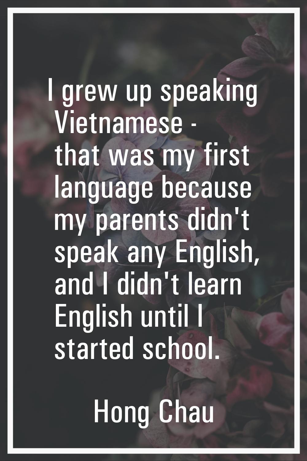 I grew up speaking Vietnamese - that was my first language because my parents didn't speak any Engl