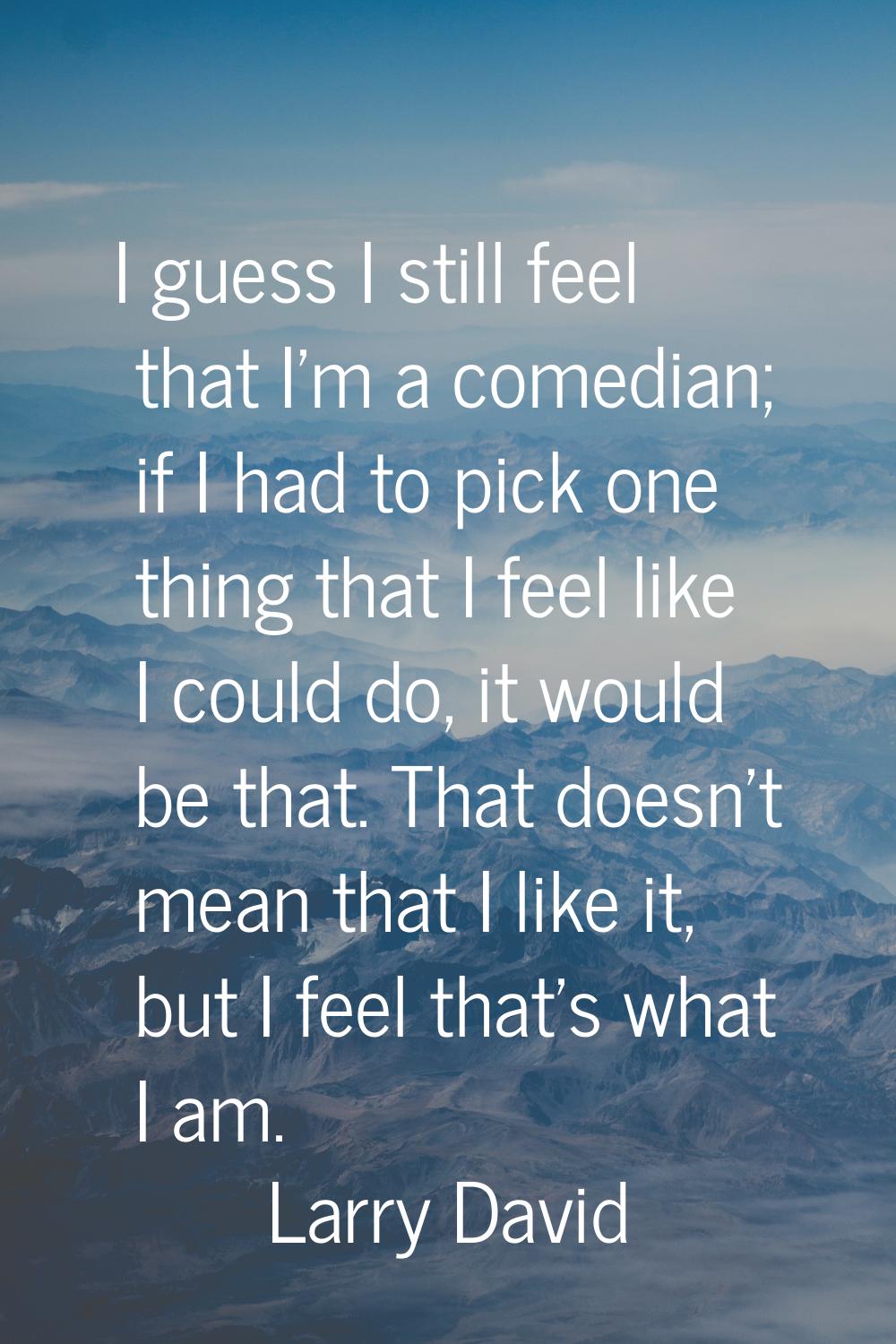 I guess I still feel that I'm a comedian; if I had to pick one thing that I feel like I could do, i