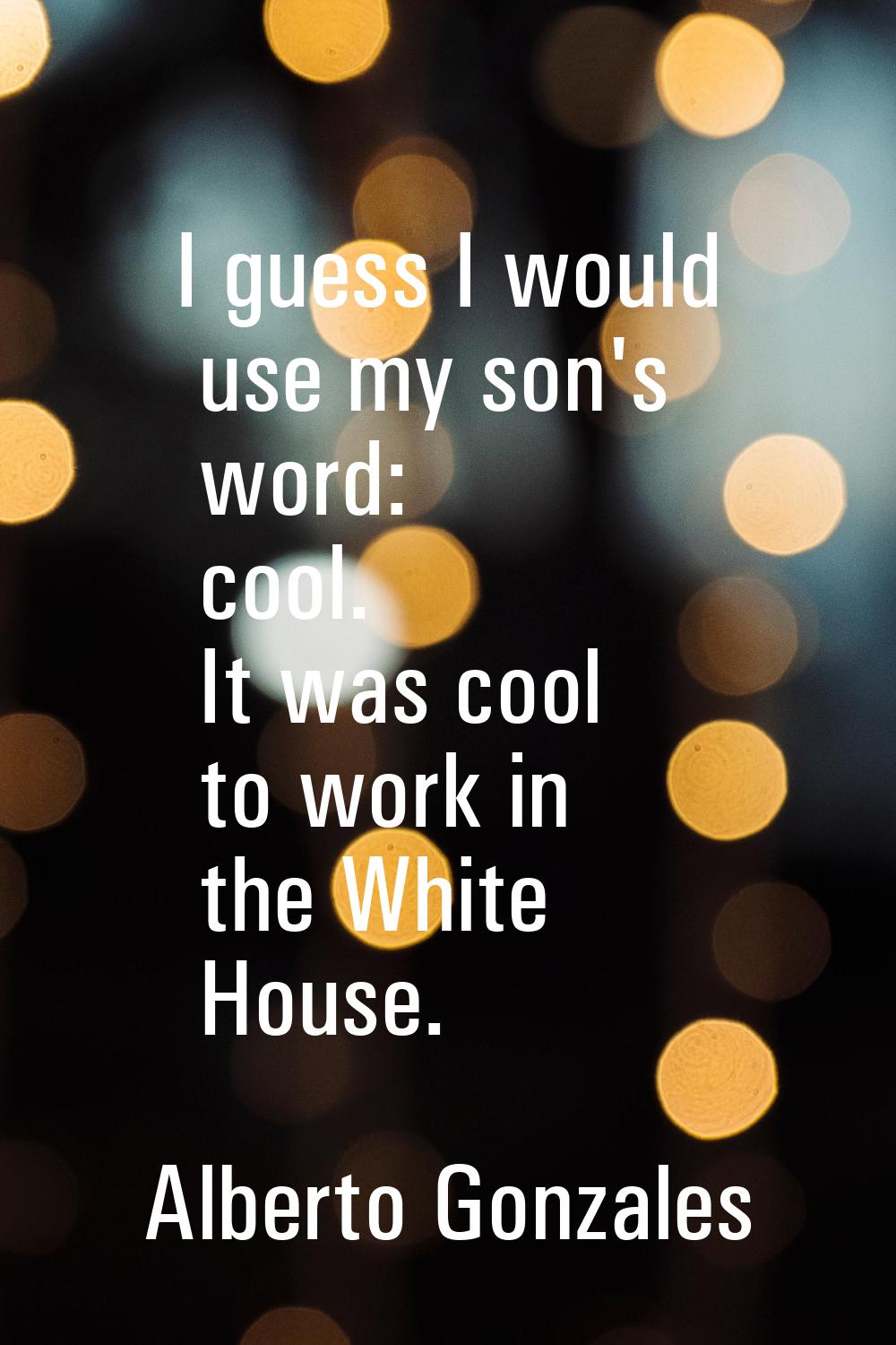 I guess I would use my son's word: cool. It was cool to work in the White House.