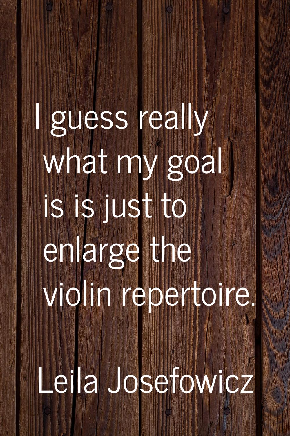 I guess really what my goal is is just to enlarge the violin repertoire.