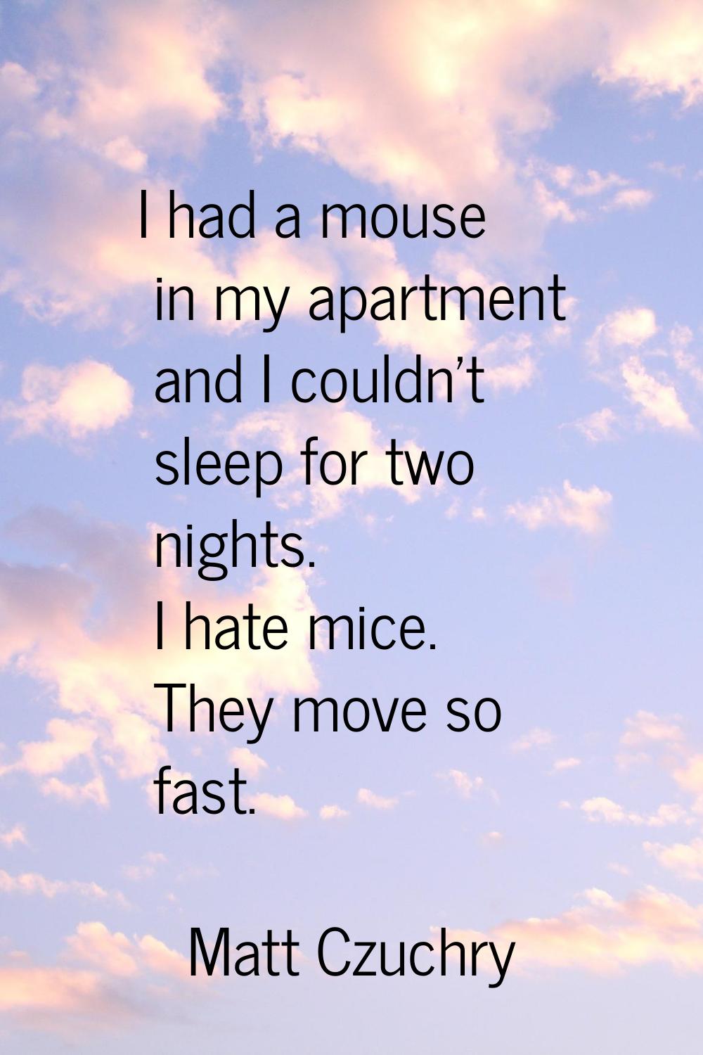 I had a mouse in my apartment and I couldn't sleep for two nights. I hate mice. They move so fast.
