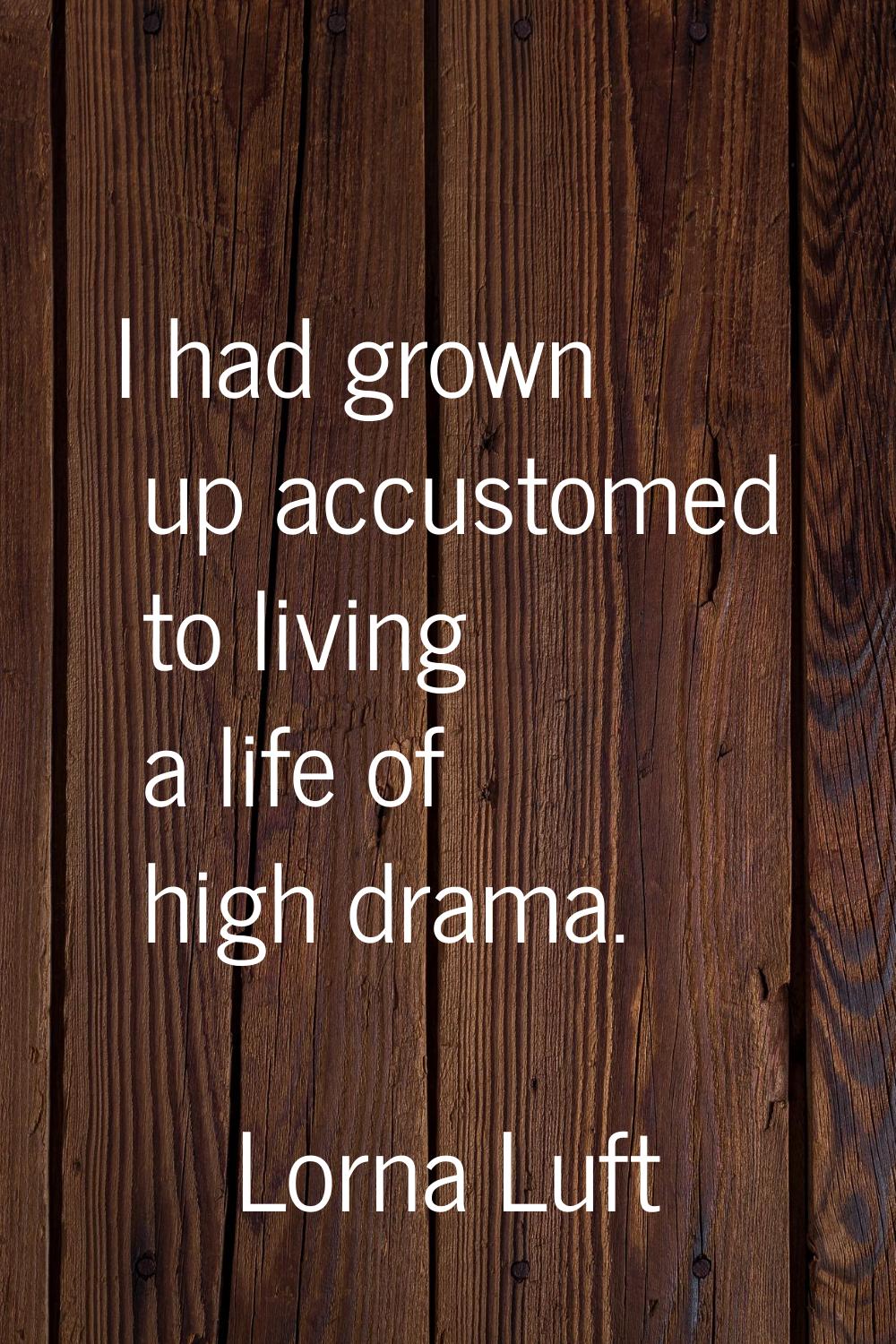 I had grown up accustomed to living a life of high drama.