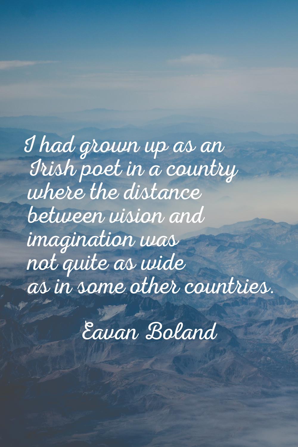 I had grown up as an Irish poet in a country where the distance between vision and imagination was 