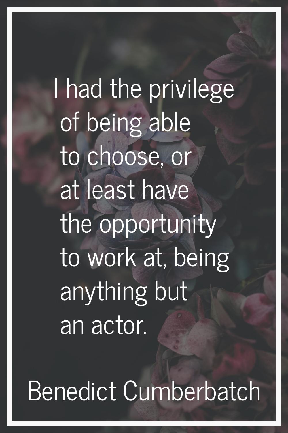 I had the privilege of being able to choose, or at least have the opportunity to work at, being any