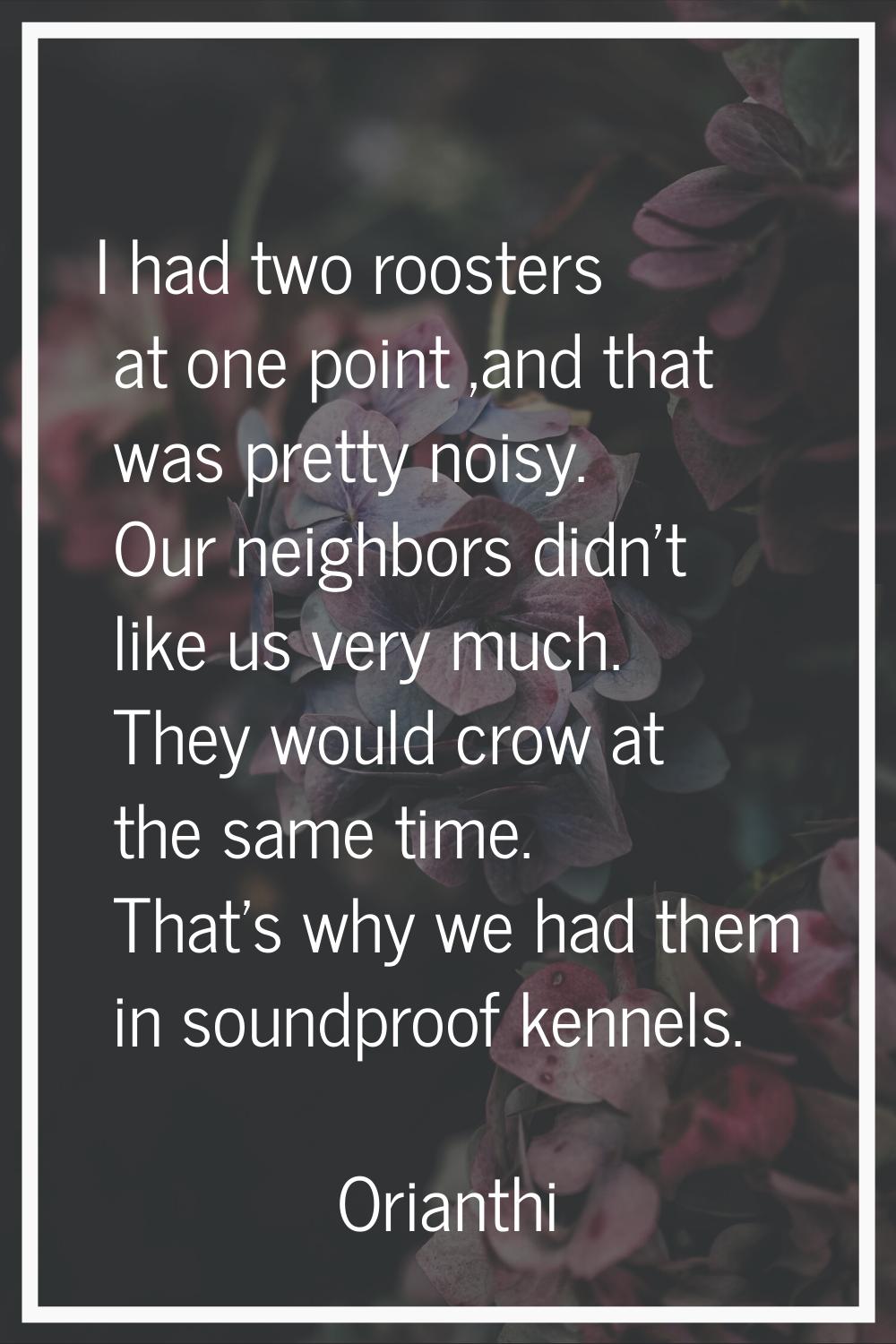 I had two roosters at one point ,and that was pretty noisy. Our neighbors didn't like us very much.