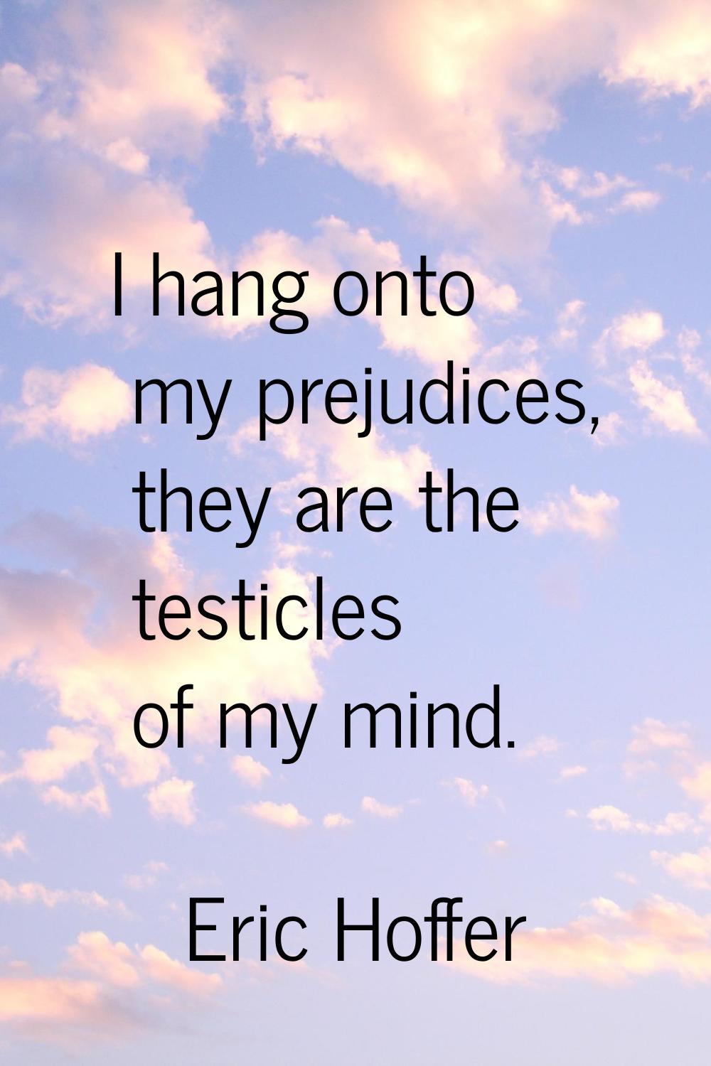 I hang onto my prejudices, they are the testicles of my mind.