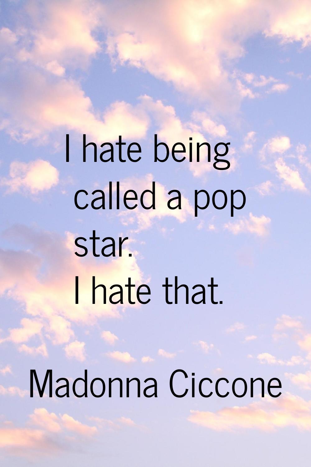 I hate being called a pop star. I hate that.