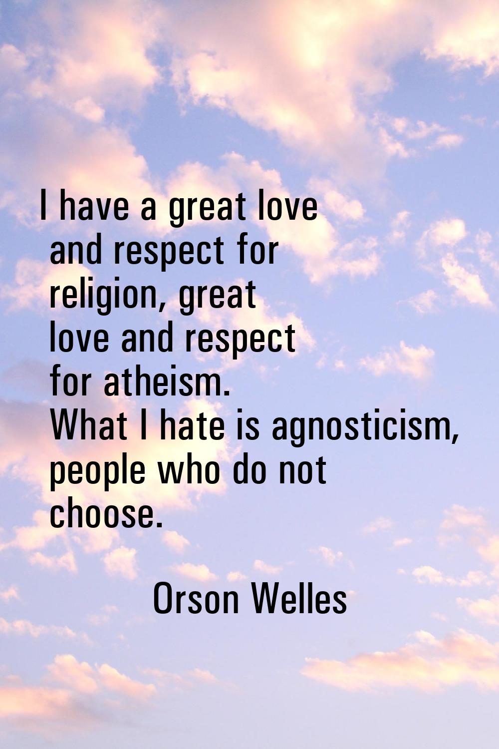 I have a great love and respect for religion, great love and respect for atheism. What I hate is ag