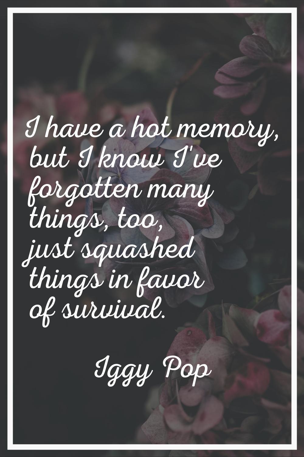 I have a hot memory, but I know I've forgotten many things, too, just squashed things in favor of s