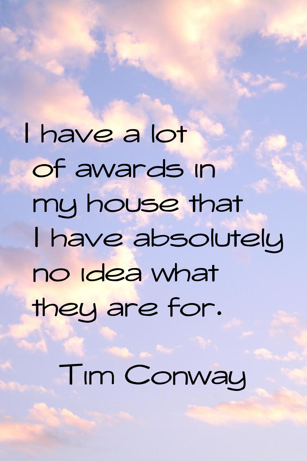 I have a lot of awards in my house that I have absolutely no idea what they are for.