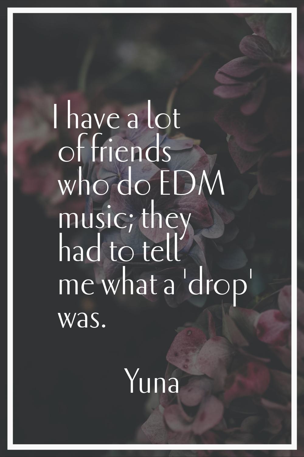 I have a lot of friends who do EDM music; they had to tell me what a 'drop' was.