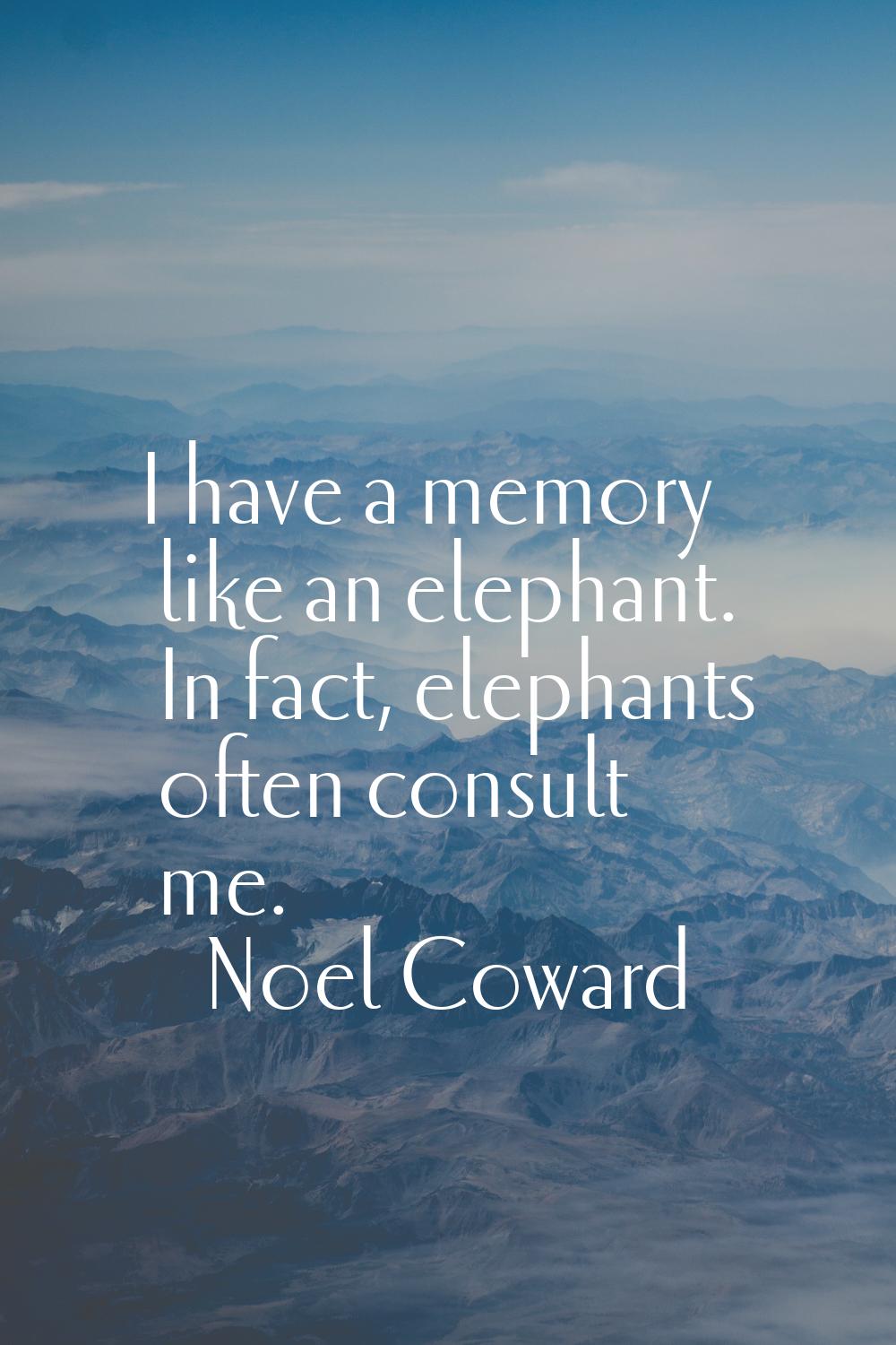 I have a memory like an elephant. In fact, elephants often consult me.