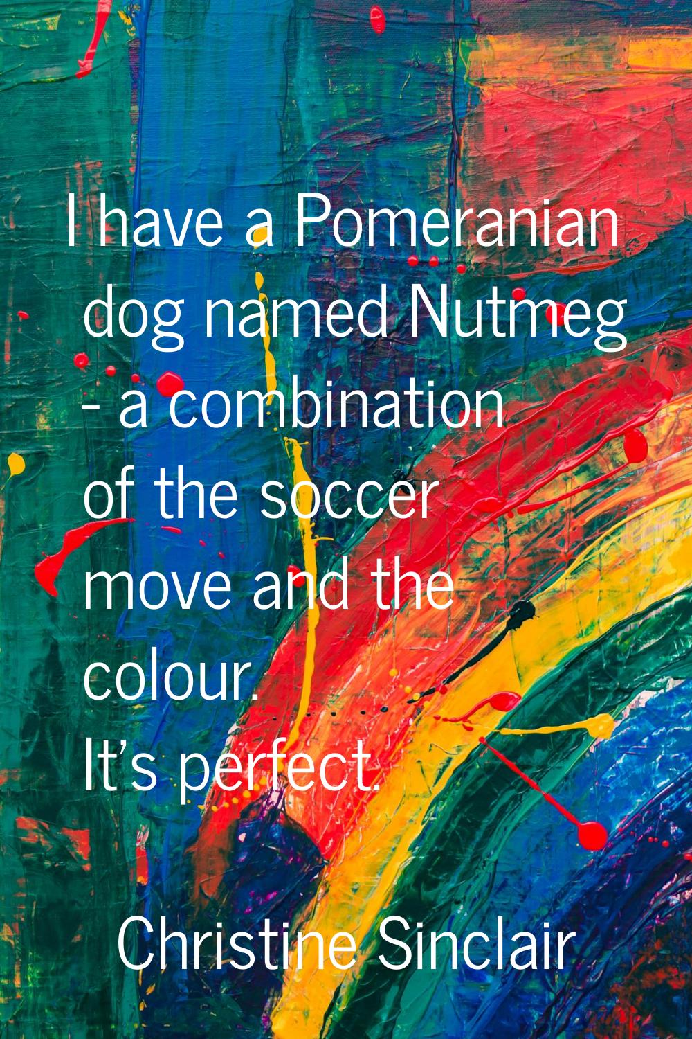 I have a Pomeranian dog named Nutmeg - a combination of the soccer move and the colour. It's perfec