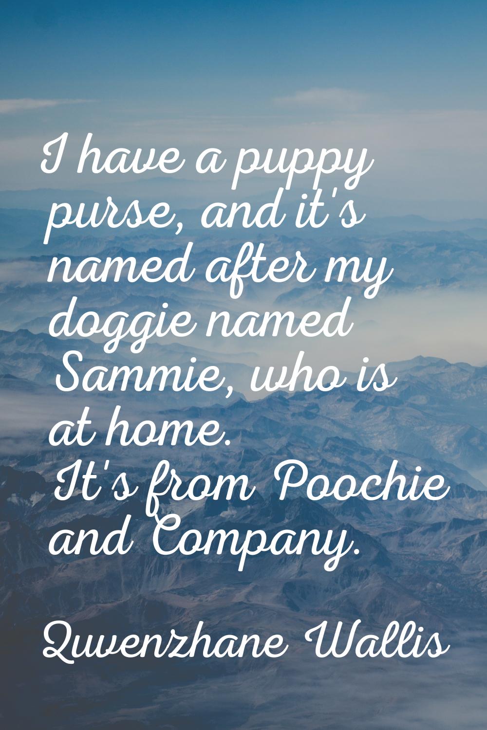 I have a puppy purse, and it's named after my doggie named Sammie, who is at home. It's from Poochi