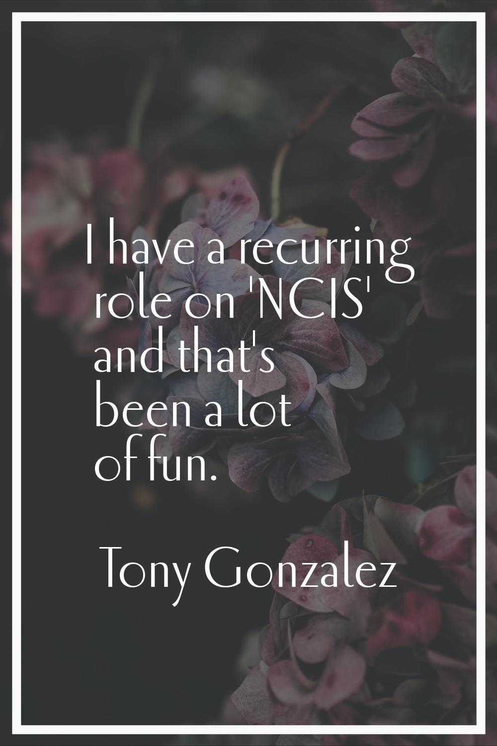 I have a recurring role on 'NCIS' and that's been a lot of fun.