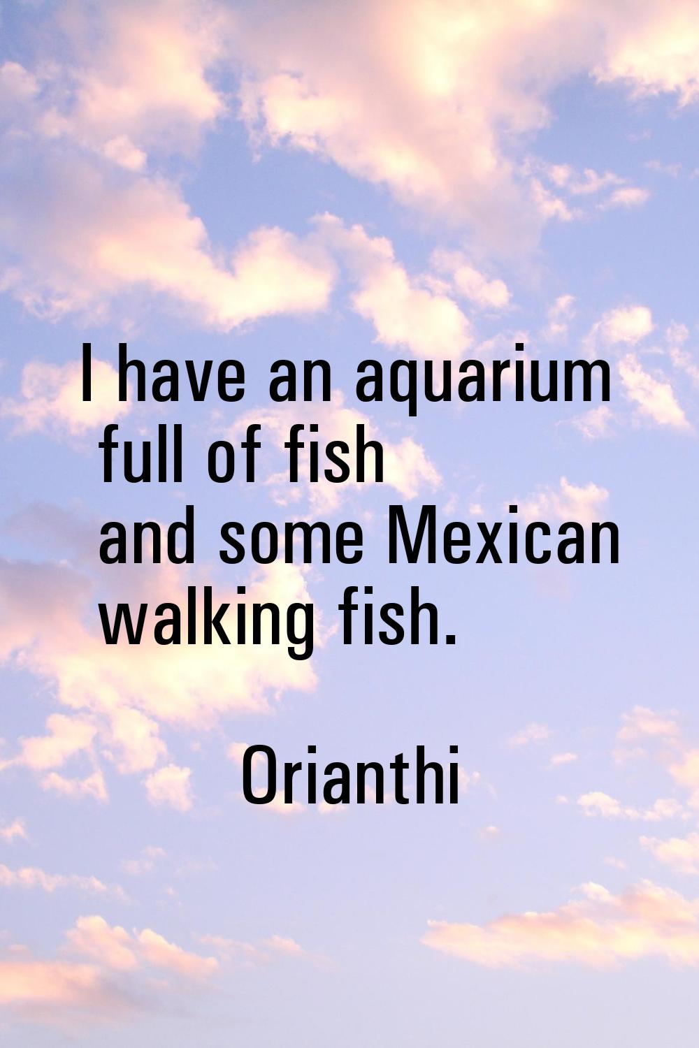 I have an aquarium full of fish and some Mexican walking fish.