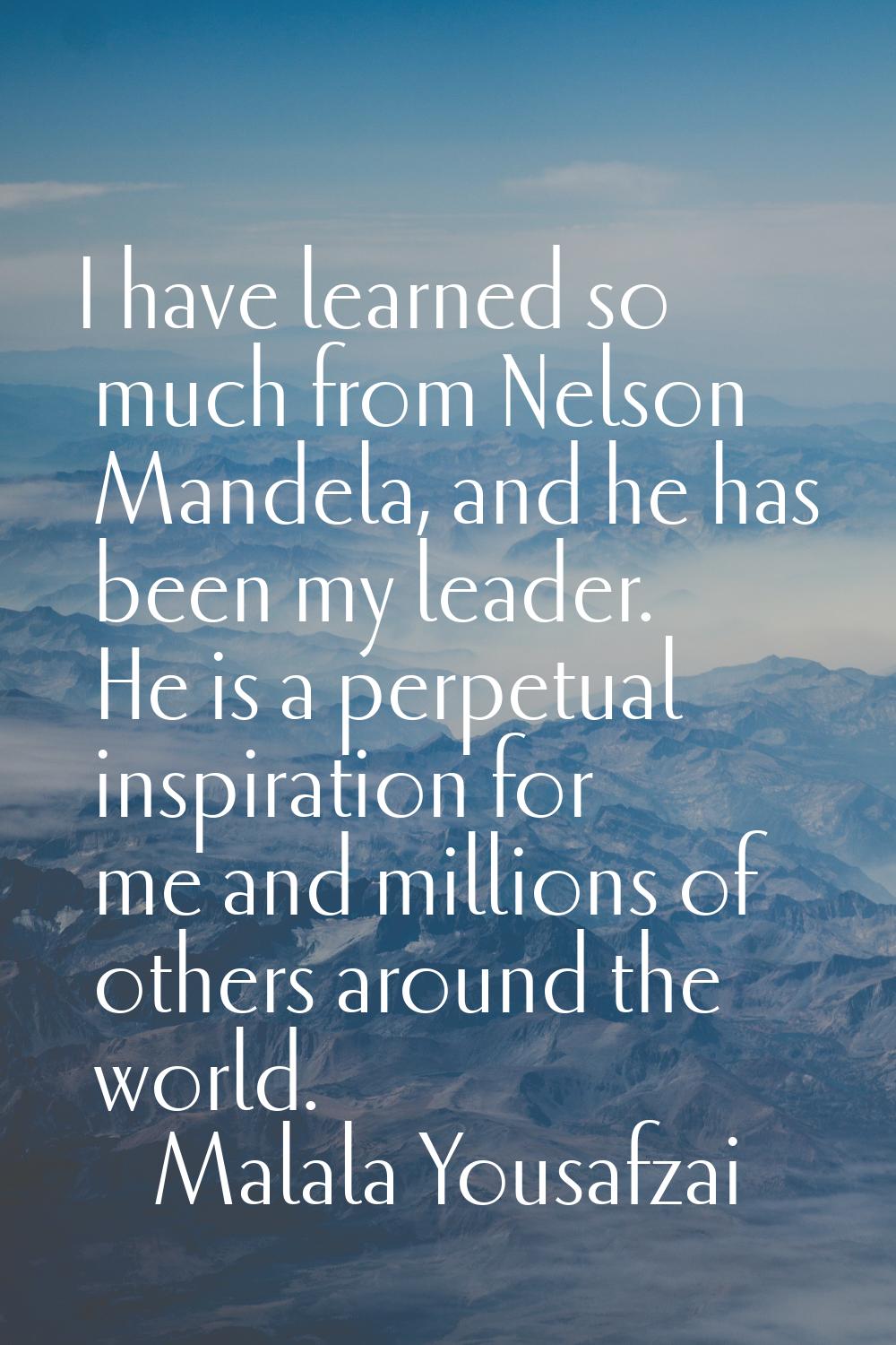 I have learned so much from Nelson Mandela, and he has been my leader. He is a perpetual inspiratio