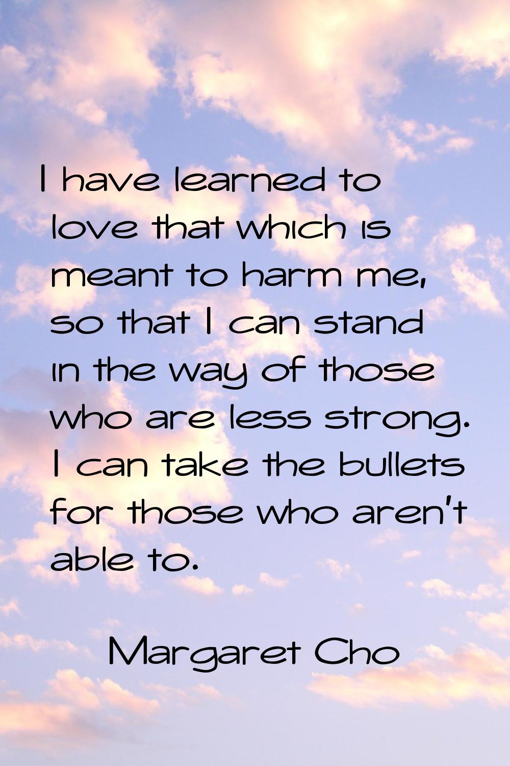 I have learned to love that which is meant to harm me, so that I can stand in the way of those who 