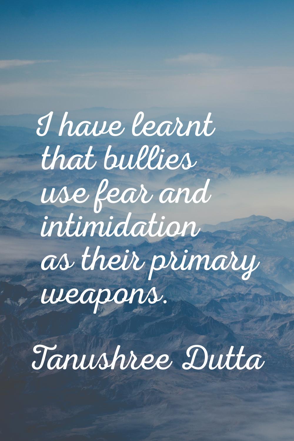 I have learnt that bullies use fear and intimidation as their primary weapons.