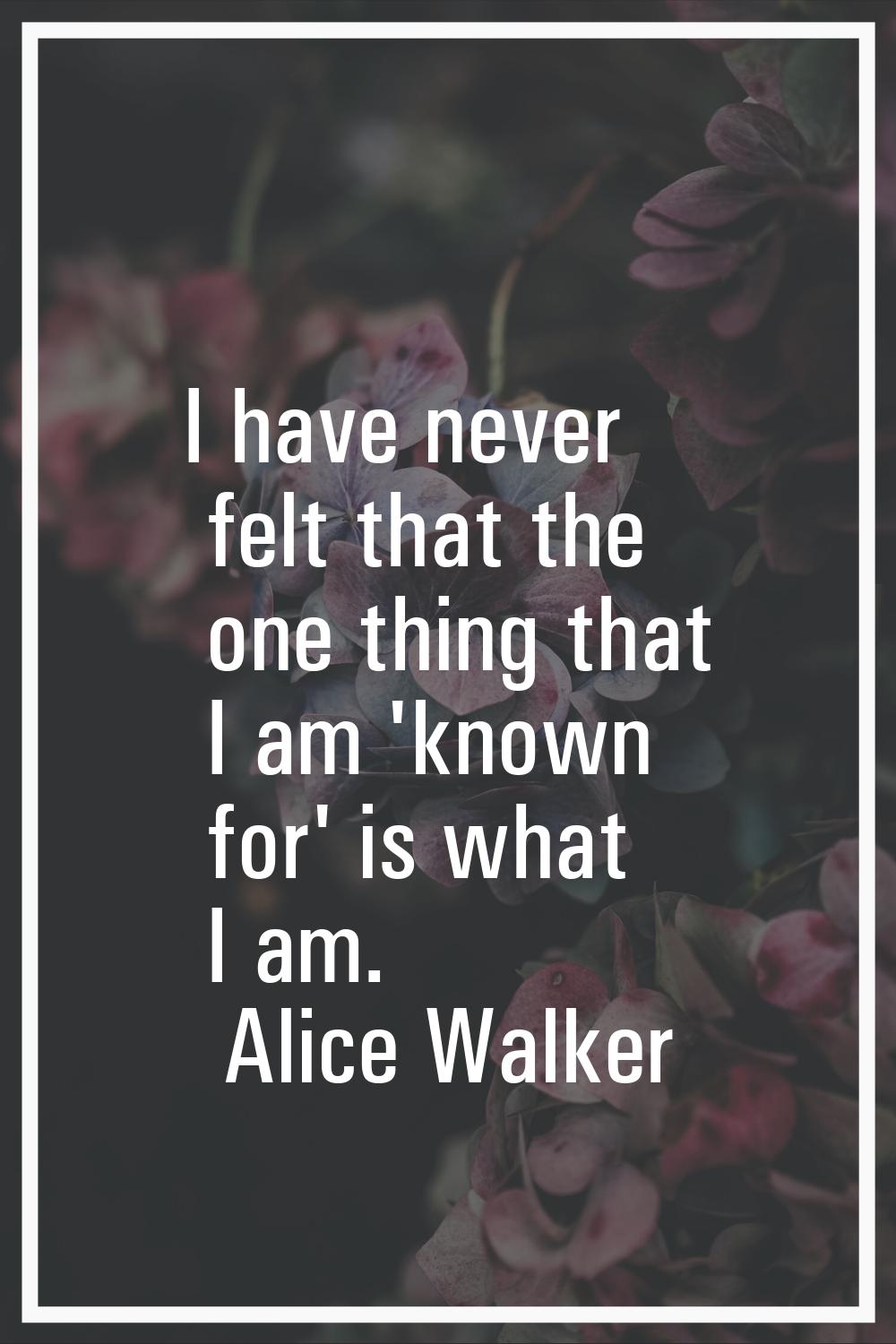 I have never felt that the one thing that I am 'known for' is what I am.
