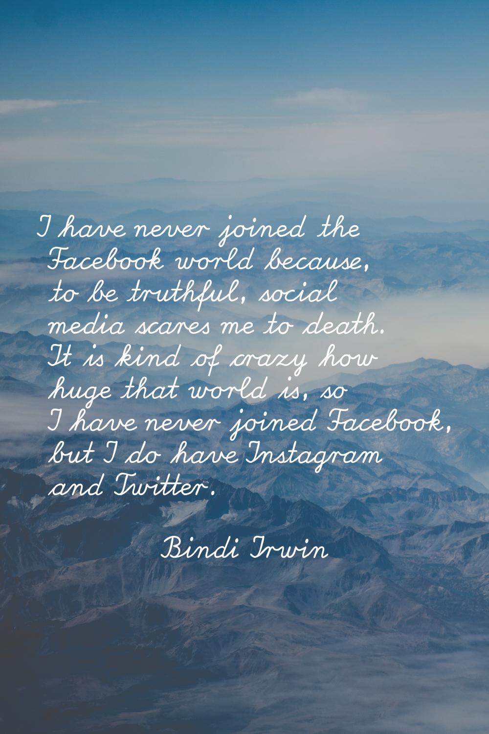 I have never joined the Facebook world because, to be truthful, social media scares me to death. It