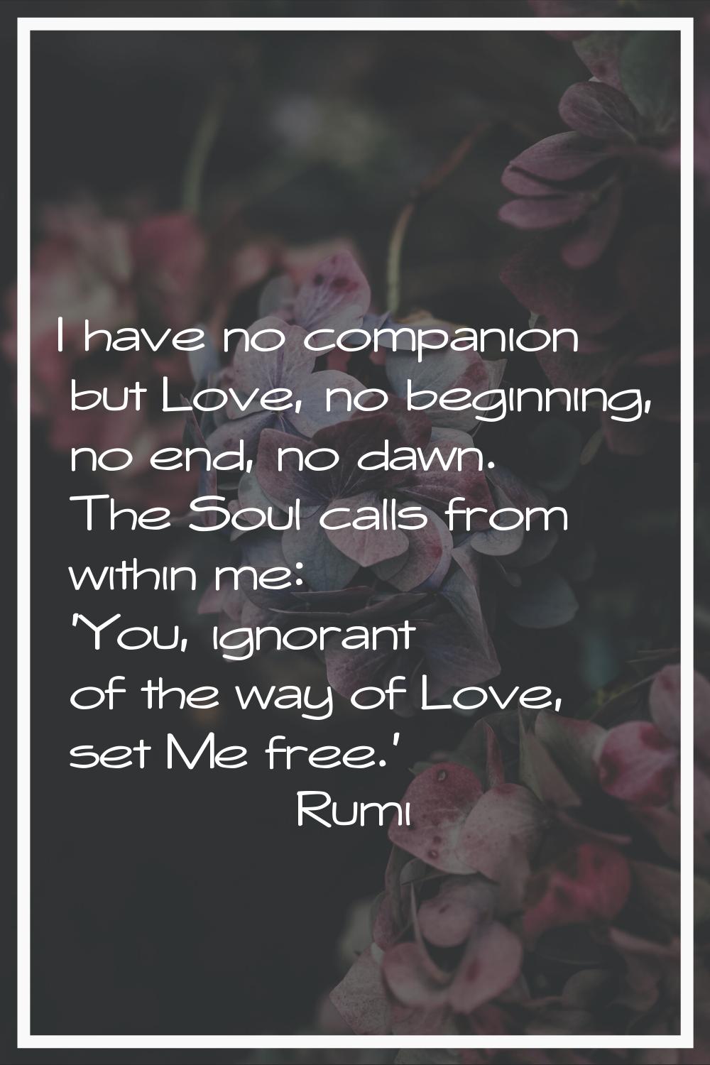 I have no companion but Love, no beginning, no end, no dawn. The Soul calls from within me: 'You, i