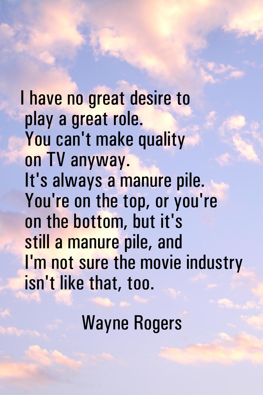 I have no great desire to play a great role. You can't make quality on TV anyway. It's always a man