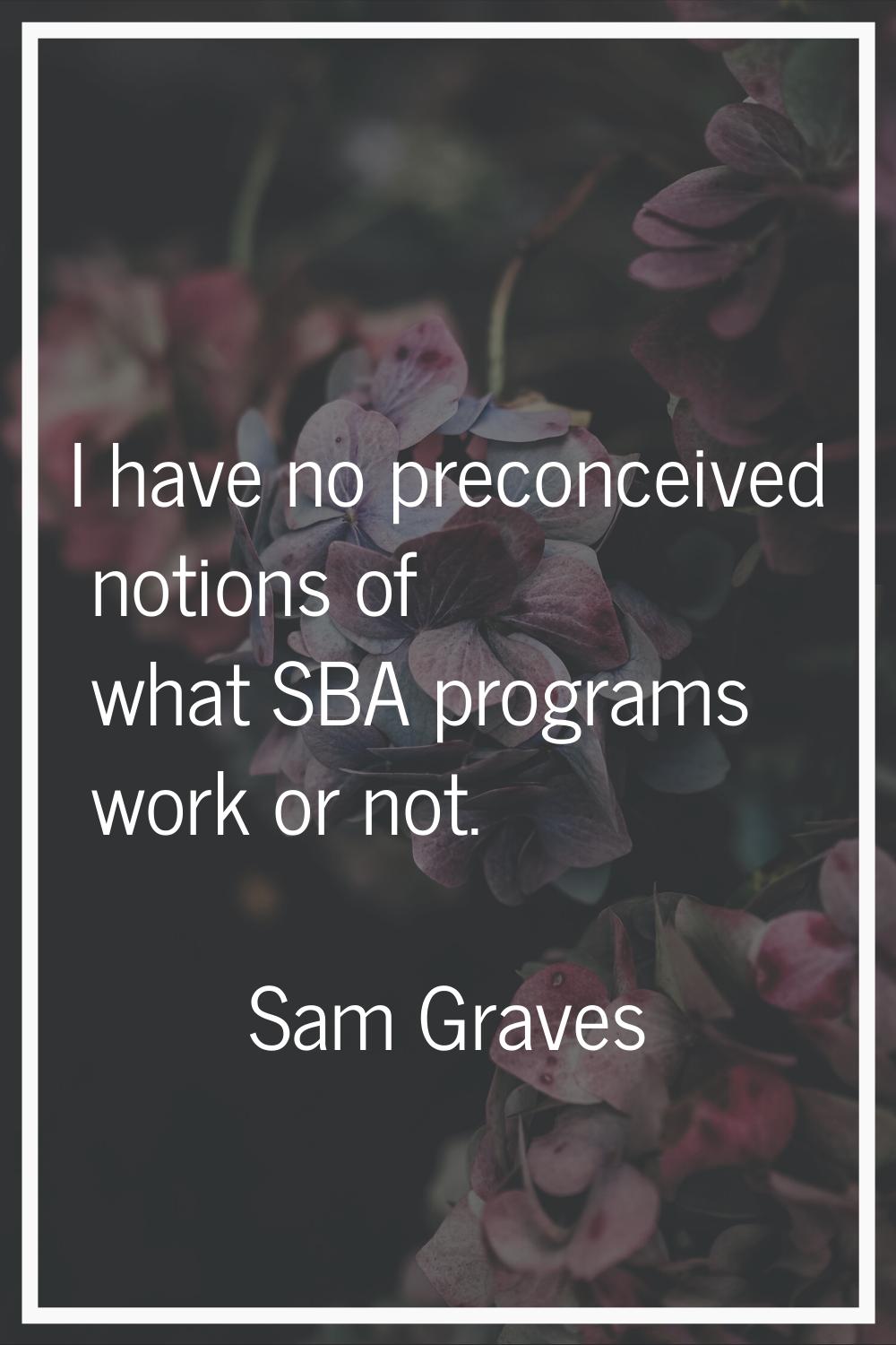 I have no preconceived notions of what SBA programs work or not.