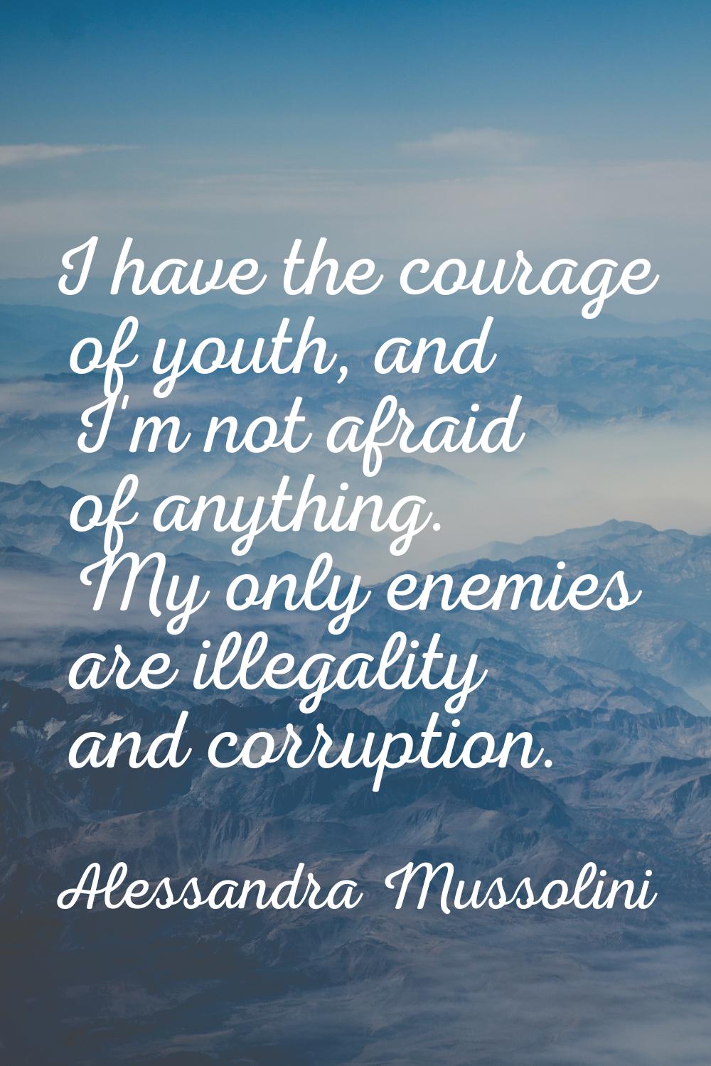 I have the courage of youth, and I'm not afraid of anything. My only enemies are illegality and cor