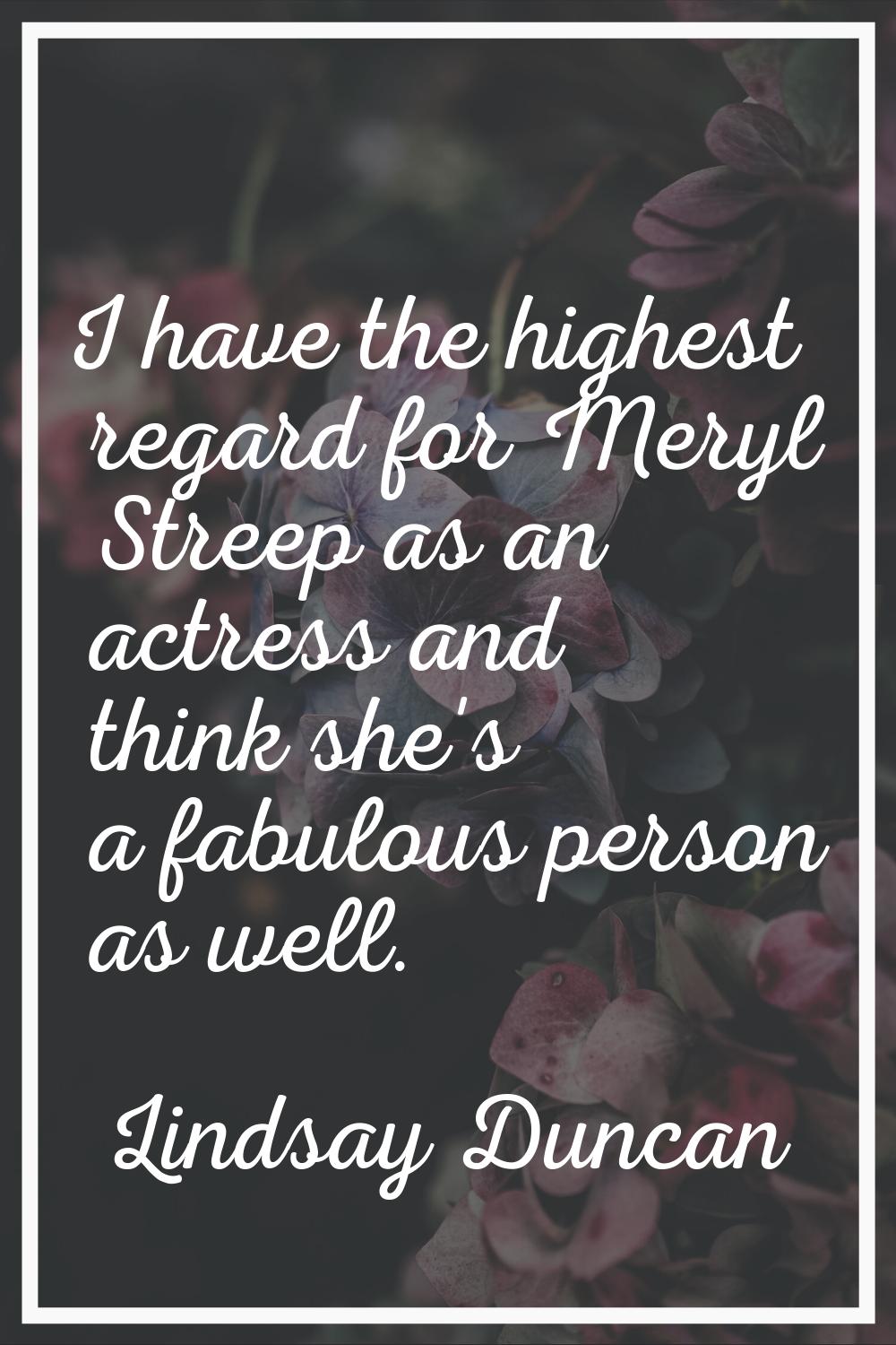 I have the highest regard for Meryl Streep as an actress and think she's a fabulous person as well.