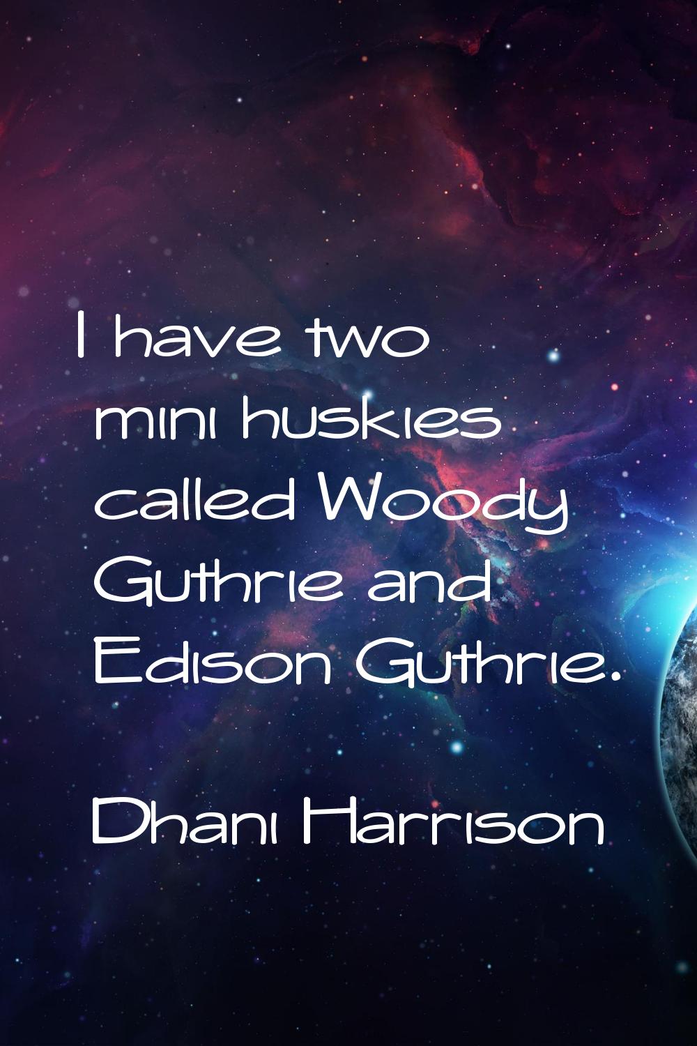 I have two mini huskies called Woody Guthrie and Edison Guthrie.