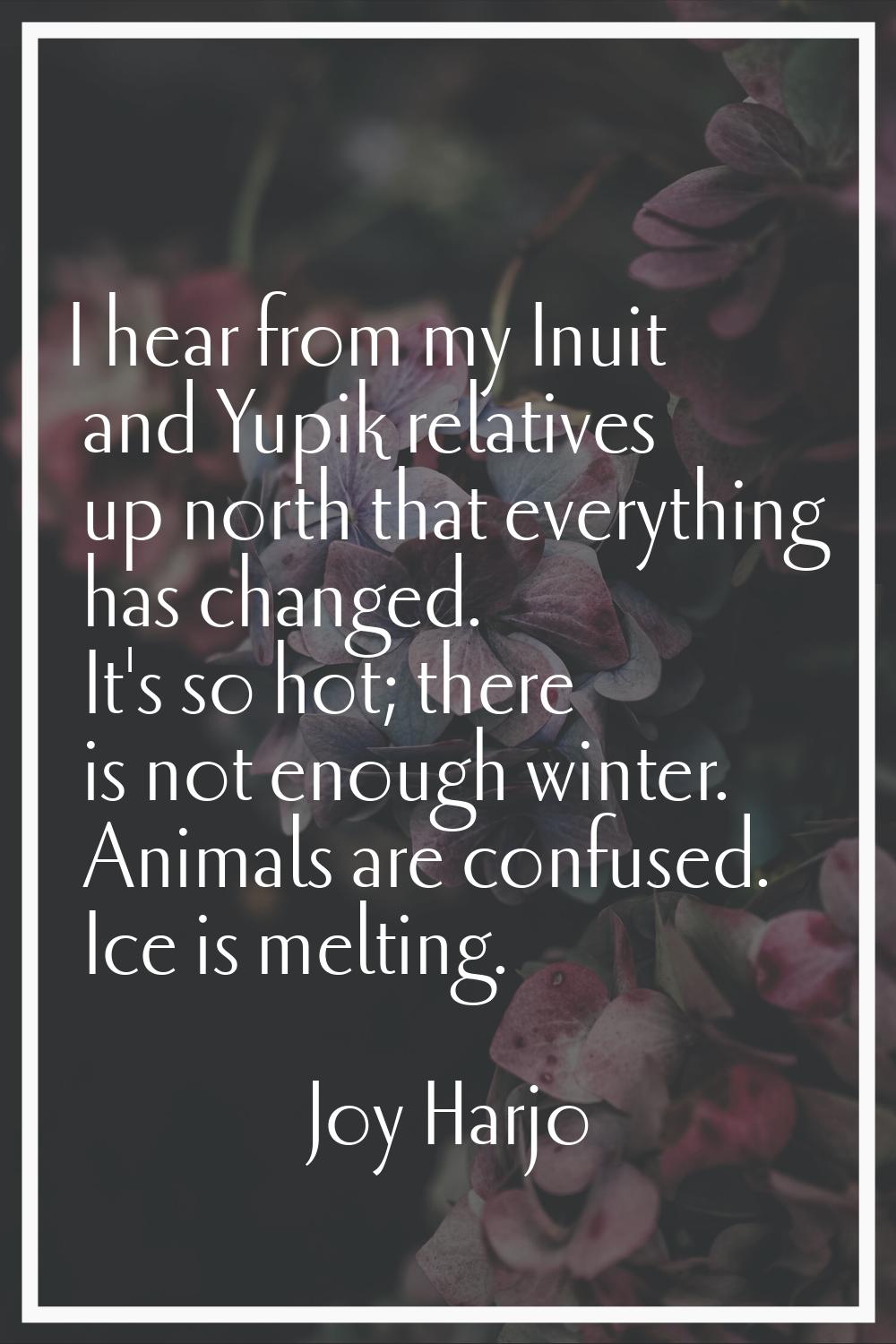 I hear from my Inuit and Yupik relatives up north that everything has changed. It's so hot; there i