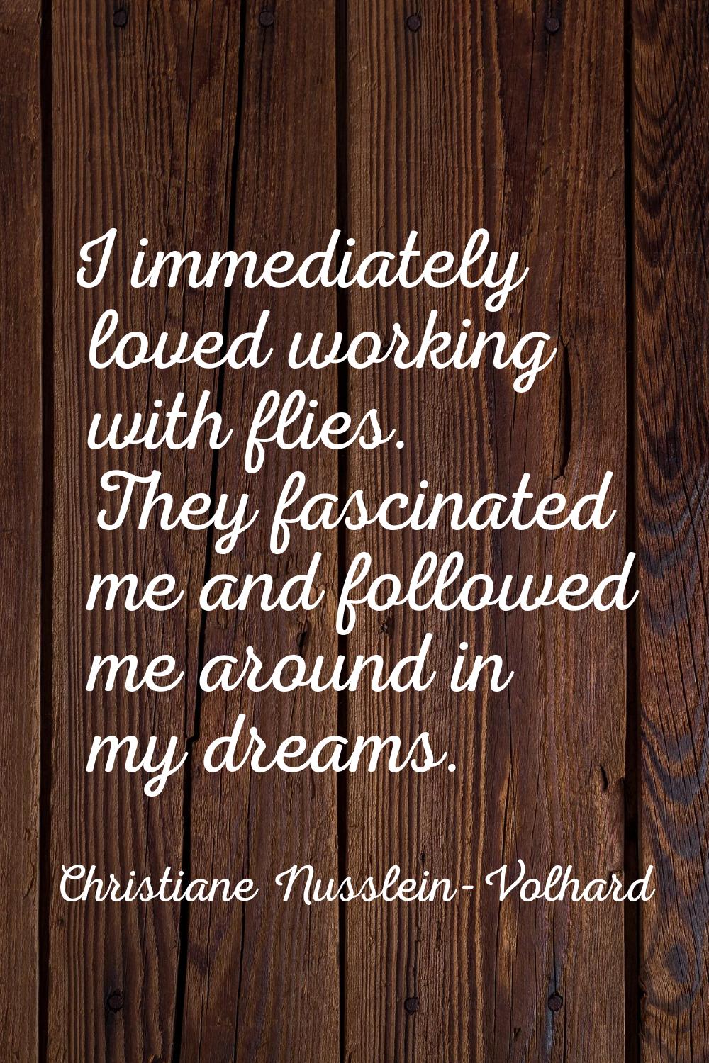 I immediately loved working with flies. They fascinated me and followed me around in my dreams.